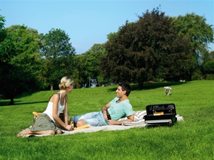 Weber Go-Anywhere. 41 x 25 cm. Sort Weber Go Anywhere