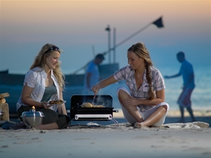 Weber Go-Anywhere. 41 x 25 cm. Sort Weber Go Anywhere