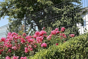 Hortus Panelhegn 1000 x 2000 mm i grøn plastbelagt galvaniseret tråd 4 / 6 mm